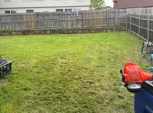 Nicole T.'s lawn care service result