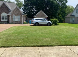 Tamarra G.'s grass maintenance service result