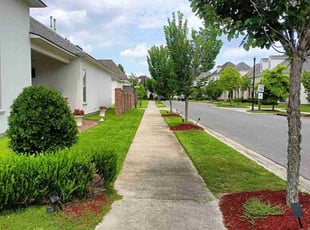 Taylor L.'s turf maintenance service result