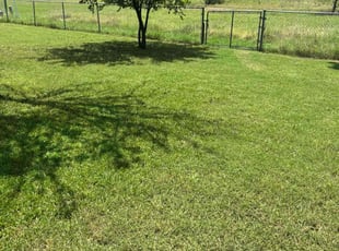 Tim D.'s turf maintenance service result