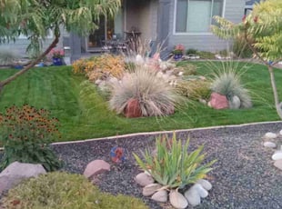 Melissa U.'s lawn care services service result