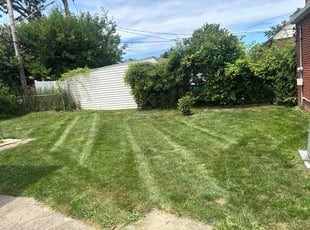 Heath W.'s lawn care services service result