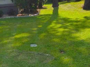Cheryl M.'s turf maintenance service result