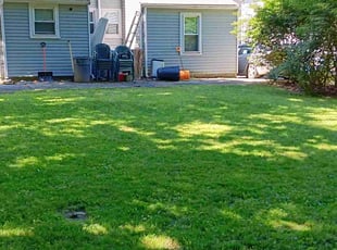 Matthew M.'s turf care service result