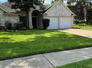 Kristine G.'s grass cutting service result