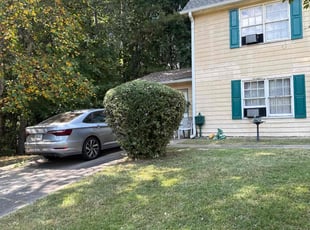 Hameem A.'s lawn care service result