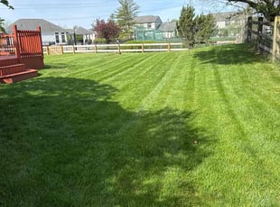 Andrew R.'s lawn care service result