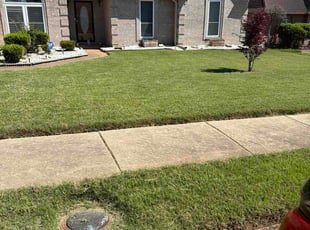 Evone C.'s turf care service result