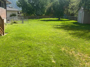 Joshua M.'s lawn service service result