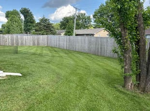Coretta O.'s lawn care service result