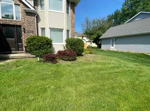 Lynn N.'s Cleanups service result