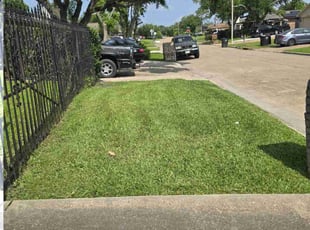 Sonal R.'s turf care service result