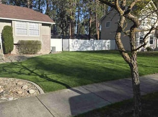 Stacey C.'s turf maintenance service result