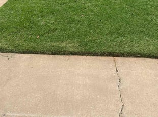 Victoria M.'s lawn maintenance service result