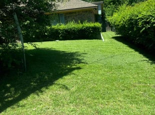 Sarah T.'s turf maintenance service result