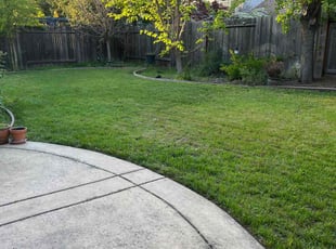 Jennifer A.'s lawn care service result