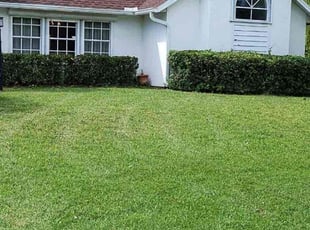 Brett N.'s Bush Trimming service result