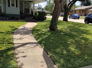 Brenda B.'s turf care service result