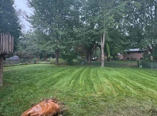 Christina D.'s turf care service result