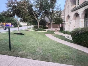 Greg R.'s grass maintenance service result