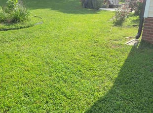 Sam G.'s grass maintenance service result