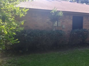 Sharon P.'s Bush Trimming service result
