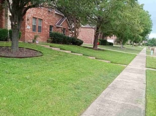 Kenneth G.'s lawn care services service result