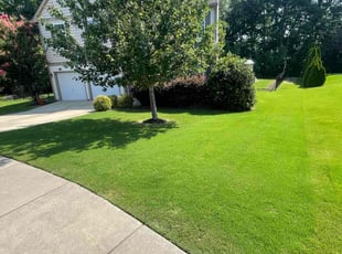 Darnell B.'s lawn service service result