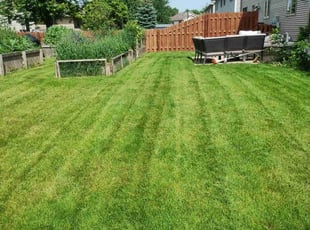 Marcos S.'s lawn service service result