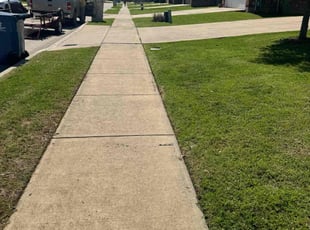 Alex P.'s turf maintenance service result