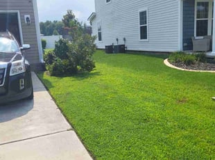 Amelio C.'s turf care service result