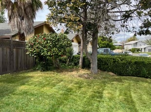 William W.'s Bush Trimming service result