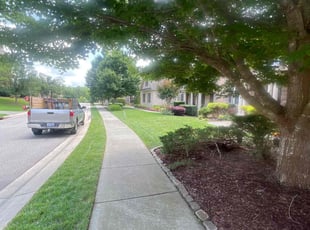 Gary S.'s turf care service result