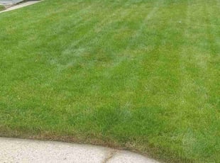 Joanne B.'s grass maintenance service result