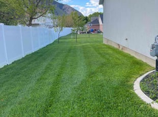 Candi E.'s grass cutting service result