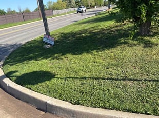 Carl B.'s lawn care services service result