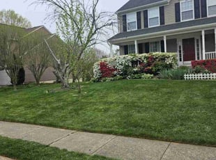Marianne B.'s lawn service service result