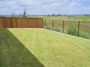 Cameron S.'s grass cutting service result
