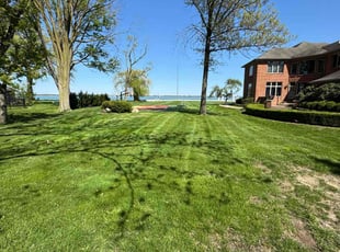 Jayson W.'s turf care service result