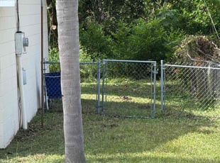 Calandra M.'s grass cutting service result