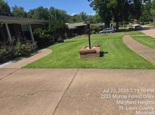 Maria T.'s turf maintenance service result