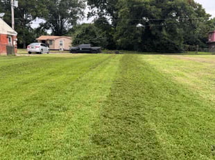 Tess S.'s grass cutting service result