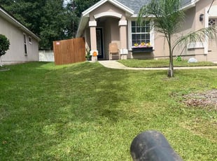 Joey M.'s turf maintenance service result