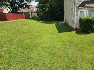 Sean F.'s landscaping service result
