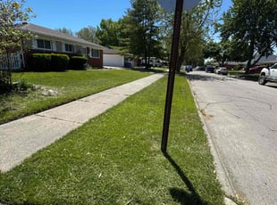 Linah R.'s grass maintenance service result