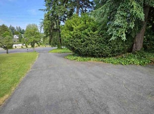 Deepak A.'s Bush Trimming service result