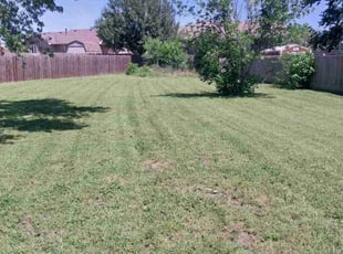 George L.'s lawn care services service result