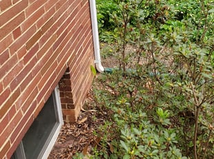 Sylvia B.'s Bush Trimming service result