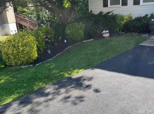 Sperling D.'s lawn care services service result