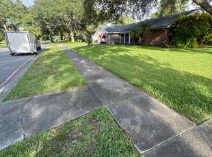 Judith D.'s lawn service service result